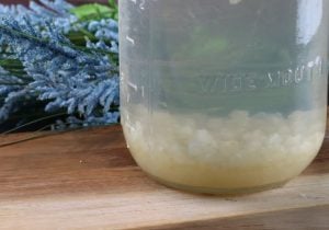 How to brew water kefir