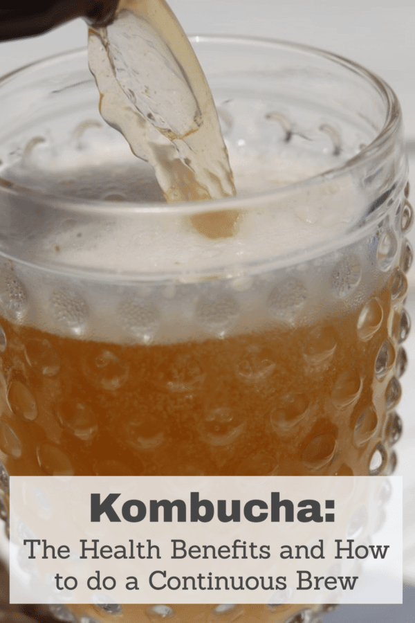 Kombucha: The Health Benefits and How to do a Continuous Brew