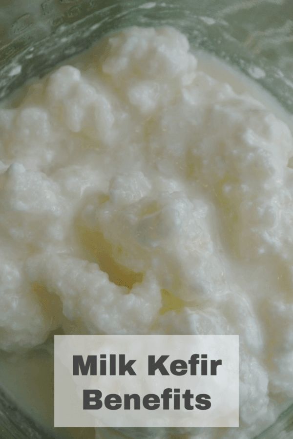 The Benefits of Milk Kefir (and how to make it)