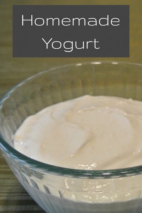 Homemade Yogurt