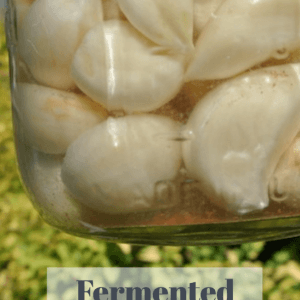 Fermented Garlic