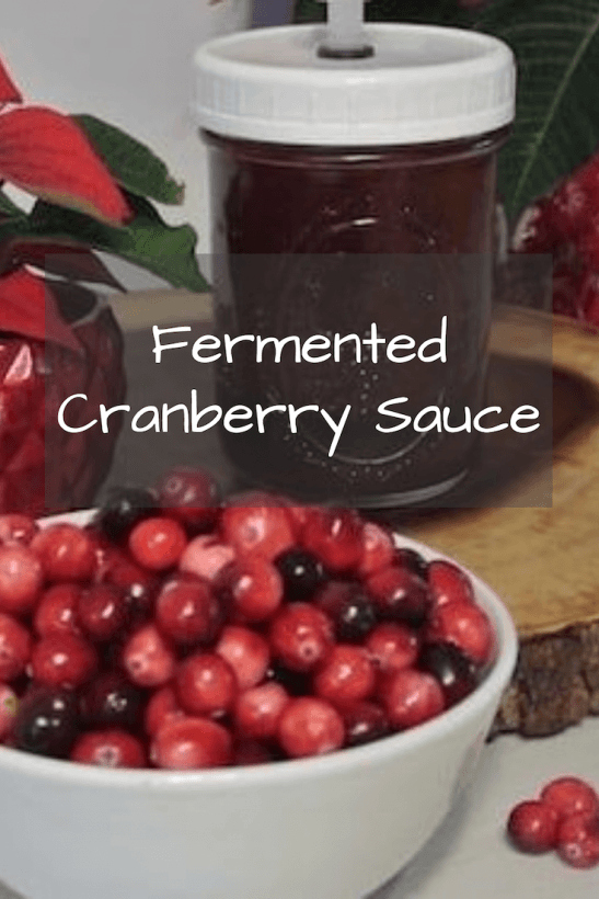 Fermented Cranberry Sauce