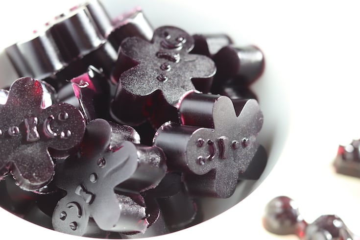 Homemade Blueberry Fruit Snacks (Gummies) with grass-fed gelatin