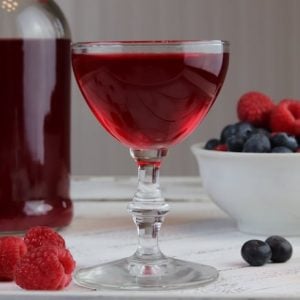 Blueberry-Raspberry Shrub (aka drinking vinegar) #guthealth #microbiome #reclaimingvitality