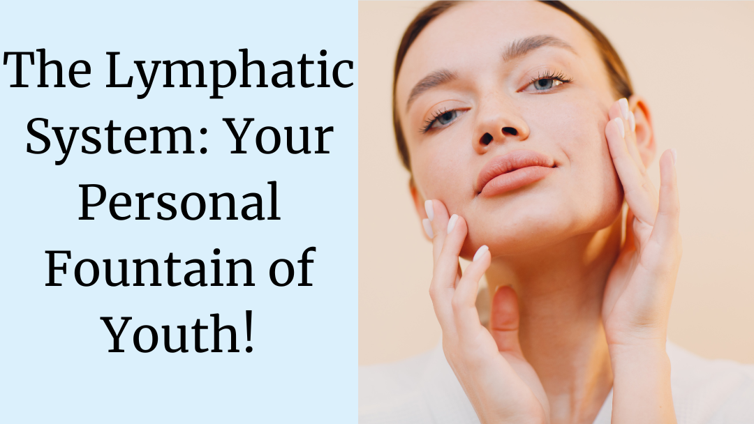 Your Lymphatic System: Fountain of Youth?