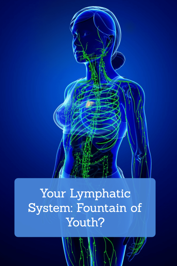 Your Lymphatic System: Fountain of Youth?