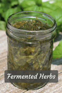 Fermented Herbs