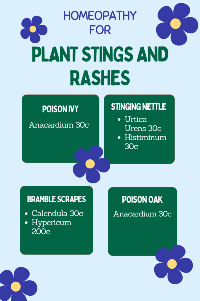 Homeopathy for Plant Stings and Rashes